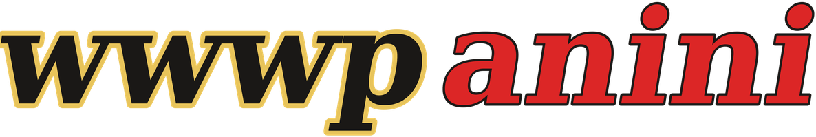 wwwpanini logo